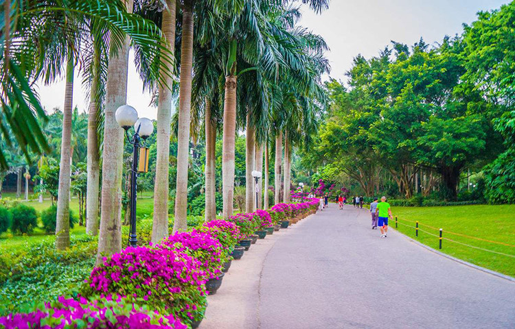 景觀設(shè)計(jì)的韻律探討圖片1 景觀設(shè)計(jì)的韻律探討圖片1