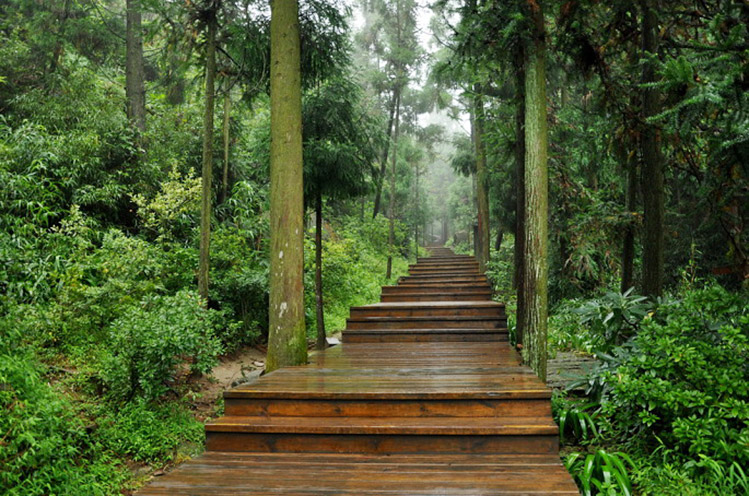 景觀設(shè)計(jì)的韻律探討圖片2 景觀設(shè)計(jì)的韻律探討圖片2