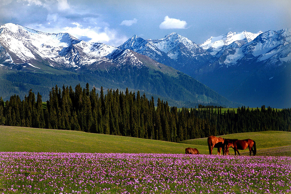 旅游區生態景觀圖片 旅游區生態景觀圖片