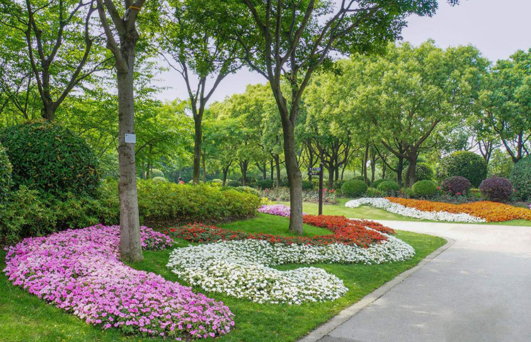 城市園林景觀圖片1 城市園林景觀圖片1