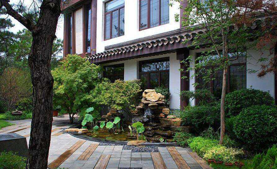 門前千萬不能有枯樹圖片 門前千萬不能有枯樹圖片